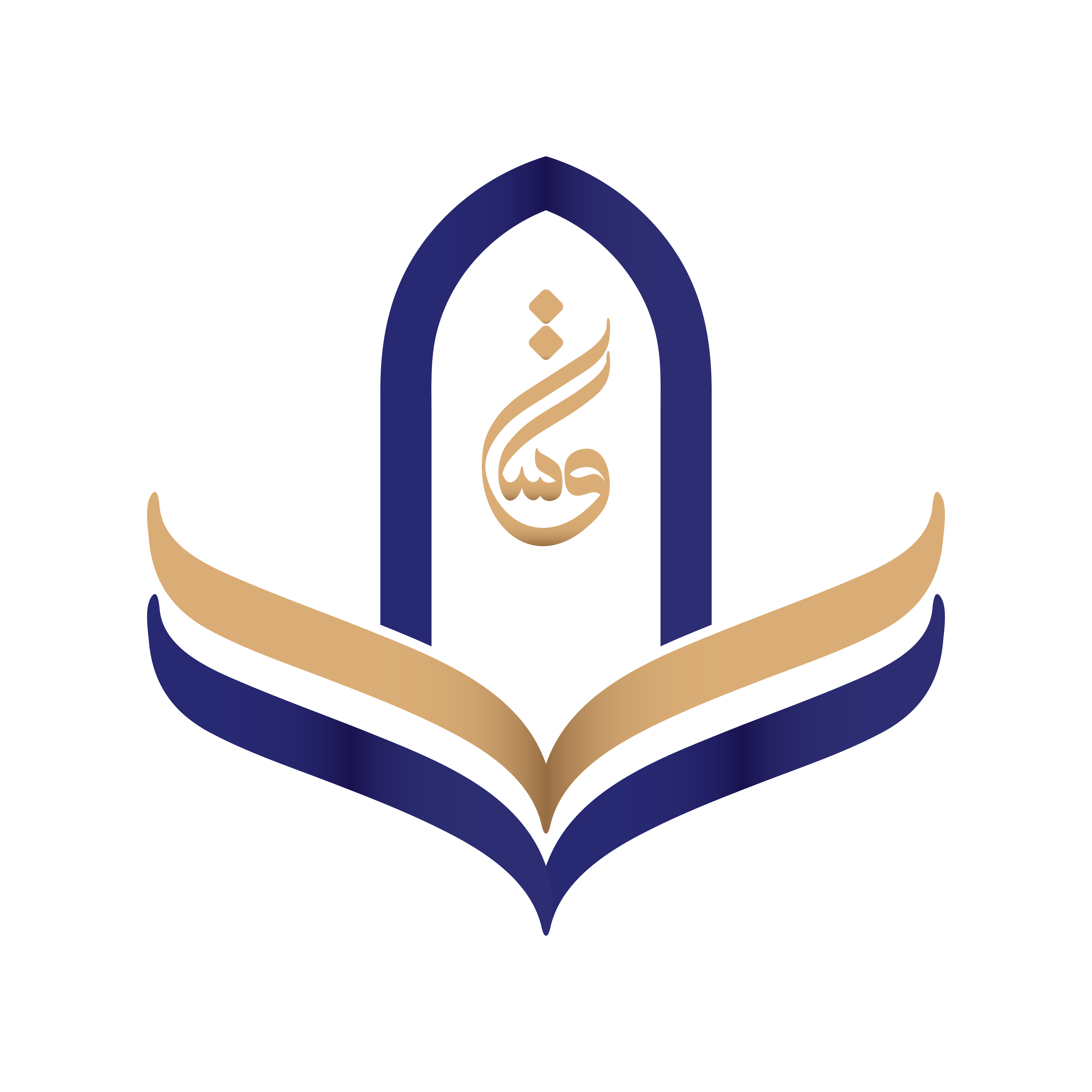 QnS Logo